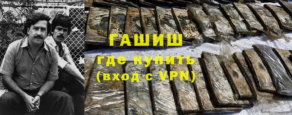 гидра Богородицк