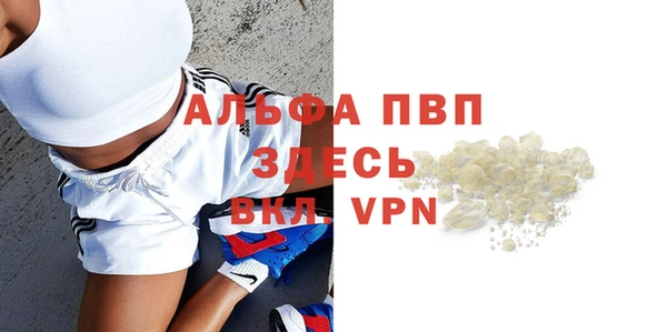 гидра Богородицк