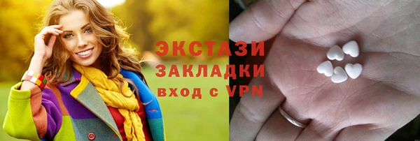 гидра Богородицк