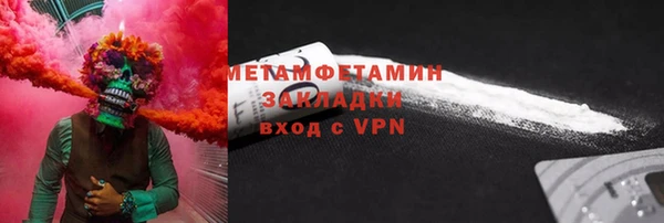 гидра Богородицк