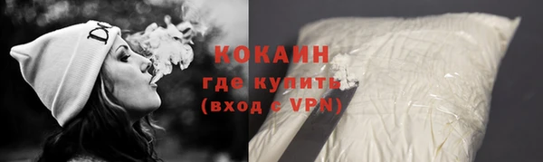 гидра Богородицк