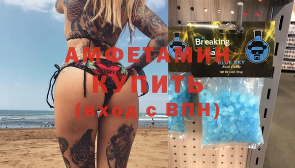 гидра Богородицк