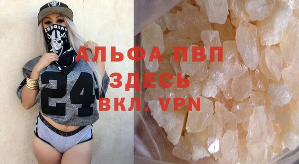 гидра Богородицк