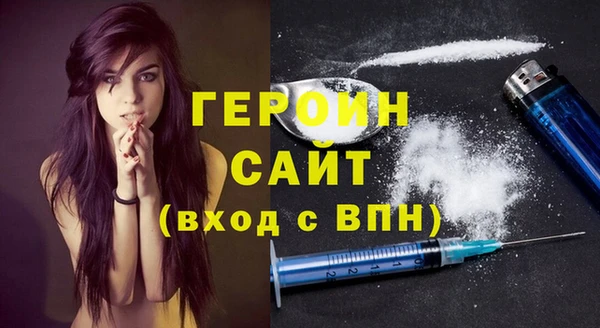 гидра Богородицк
