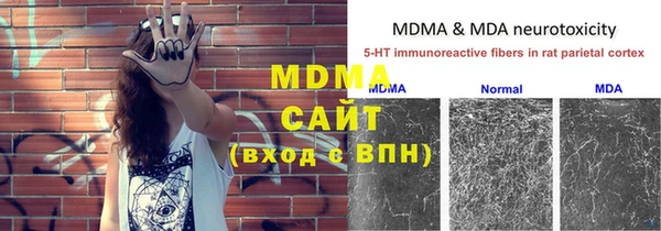 гидра Богородицк