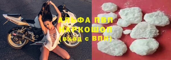 гидра Богородицк
