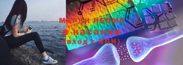 гидра Богородицк