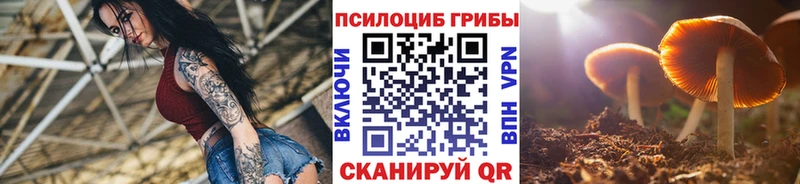 Купить  Нижневартовск  Псилоцибиновые грибы мицелий 